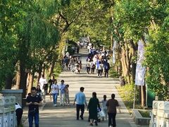 -同里国家湿地公园