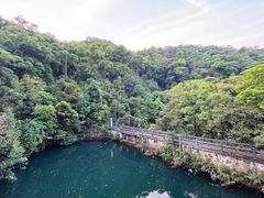 -鼎湖山风景区