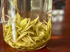 -白茶原·一片叶子