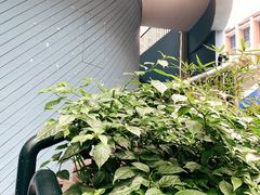 -Nectar One Cafe(勇烈路n1店)