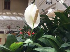 -利顺德大饭店·维多利亚花园(小白楼店)