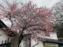 -鼓楼(西湖风景名胜区)
