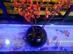 -玉善烧烤串城(长春总店)