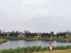 -星乐度·露营小镇