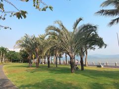 -深圳湾公园(南山区)