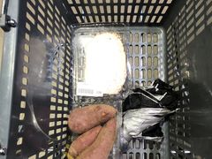 -果蔬好生活超市(乐堤港店)