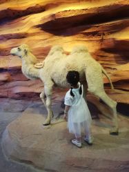 -酷嗒动物文化乐园(cutezoo西溪乐天城店)