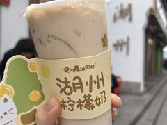 -猫的魔法密林(衣裳街店)