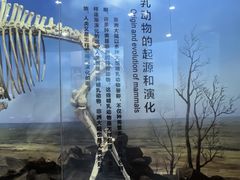 -国家自然博物馆