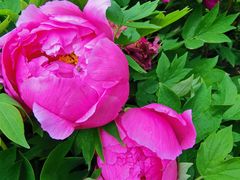 -哈尔滨文化公园