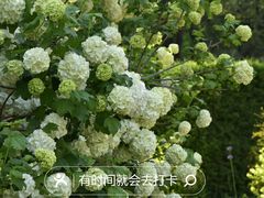 -国家植物园