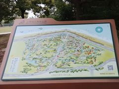 -上海滨江森林公园