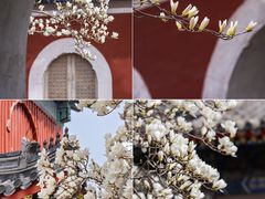 -北京艺术博物馆(万寿寺)