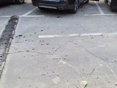 -名骏车业(园区星明店)