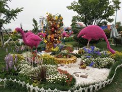 -荷兰花海
