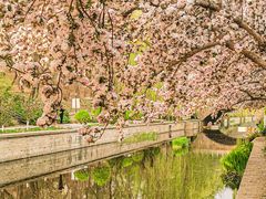 -海棠花溪(元大都城垣遗址公园)