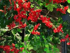 -湘邻呷铺·田园家宴(汉基广场店)