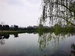 -武汉园博园(武汉自然博物馆)