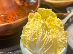 娃娃菜-阳坊涮肉(西直门凯德mall店)