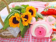 -蒲河岛湿地公园