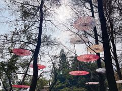 -人民公园(罗湖区)