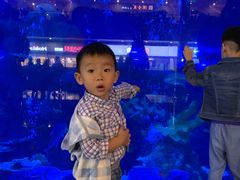 -成都浩海立方海洋公园