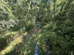 -灵隐飞来峰景区