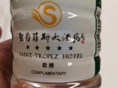 -圣爵菲斯大酒店(长沙世界之窗店)