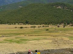 -玉湖村