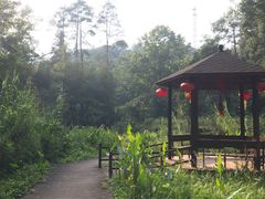 -韶关经律论国际酒店温泉