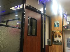 -安安宠医宠物医院·异宠·犬猫内科(岳阳分院)