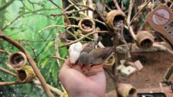 -Zoolung Zoolung动物主题公园(海信广场店)