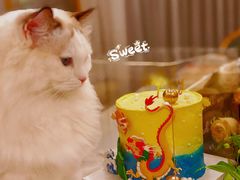 -Joy's Wish创意蛋糕定制&甜品台(乐虹坊精致生活广场店)