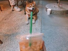 -星巴克(石厦街店)