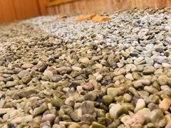 -汤W城市微度假(仓山店)