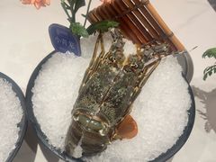 -海月轩海鲜豆捞(紫金塔店)