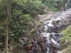 -羚羊峡古栈道森林公园