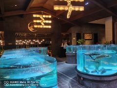 -观澜湖酒店·邀月庭中餐厅