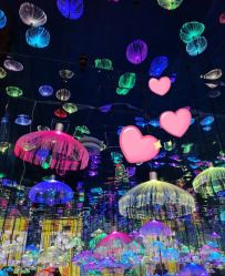 -萌兔星空蹦床撸兔馆