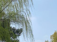 -兰溪青年公园