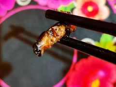 -昆虫窝子·特色云南菜(拓东路总店)