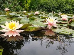 -龙头寺公园