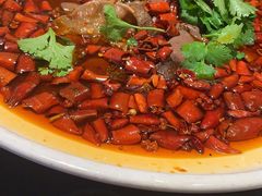 -鸡毛店·川菜(双楠店)