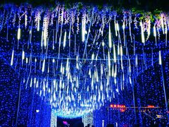 -长春公园(普阳街道)