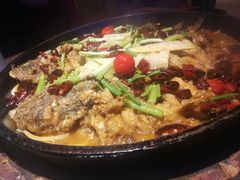 -老板恋上鱼(恒隆广场店)