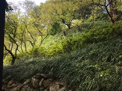 景点-林屋洞景区