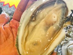 -蚝抵食·湛江生蚝(湾北路店)