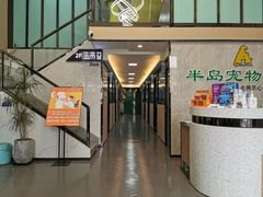 -半岛宠物医院24小时(科华中路店)
