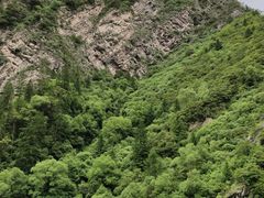 -叠溪松坪沟景区