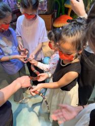 -酷嗒动物文化乐园(cutezoo西溪乐天城店)